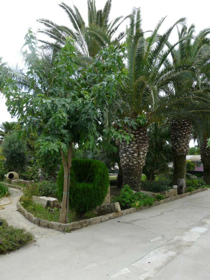 Villa Yucca Avola Exterior foto